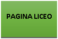 Cuadro de texto: PAGINA LICEO